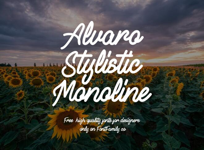 Alvaro Stylistic Monoline Font