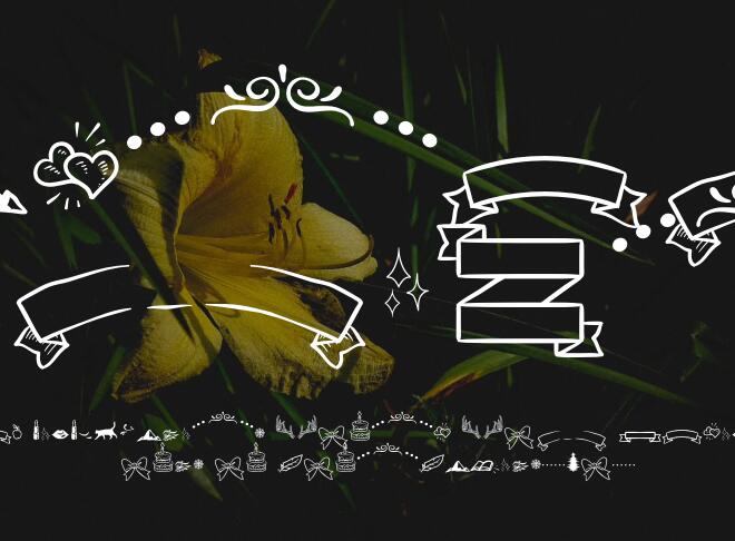 Amastery Script Font