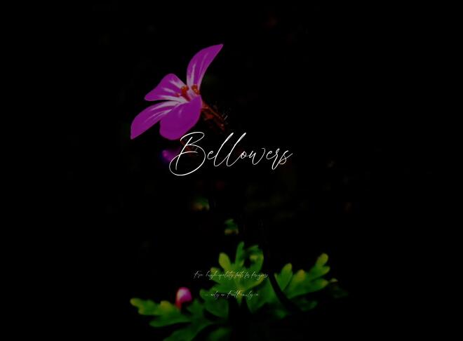 Bellowers Font