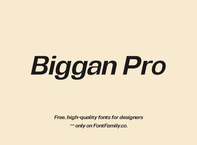 Biggan Pro Font
