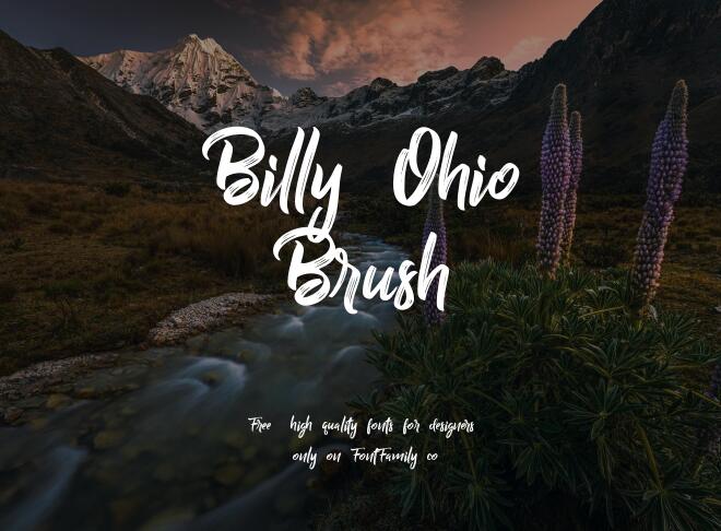 Billy Ohio Brush Font