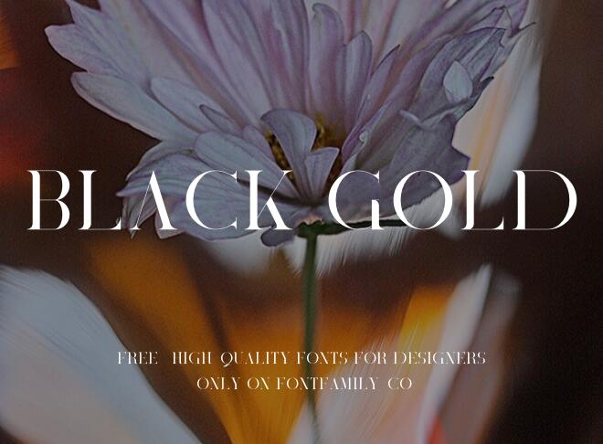 Black Gold Font