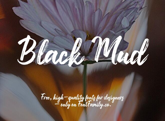 Black Mud Font