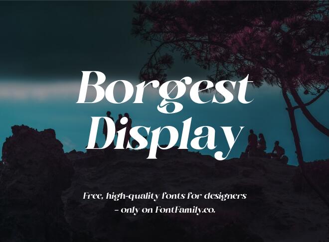 Borgest Display Font