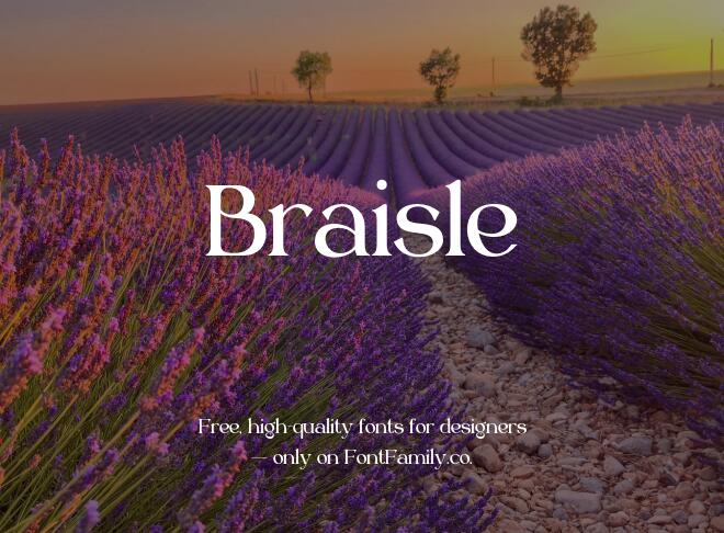 Braisle Font