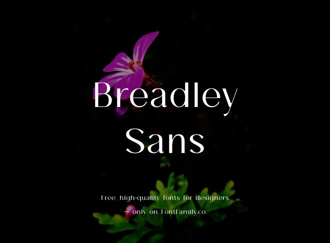 Breadley Sans Font