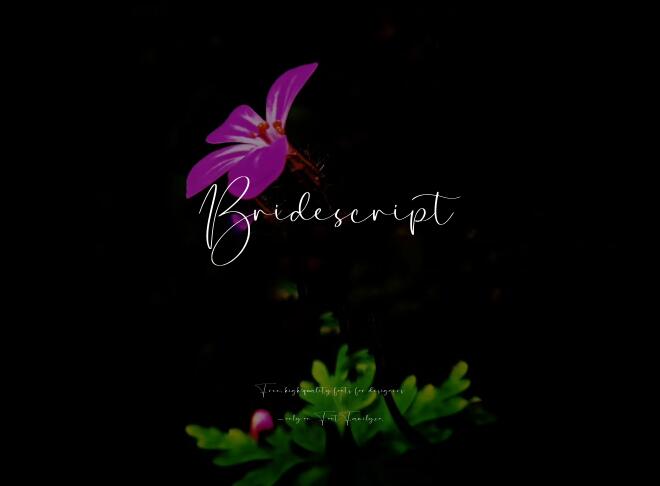 Bridescript Font