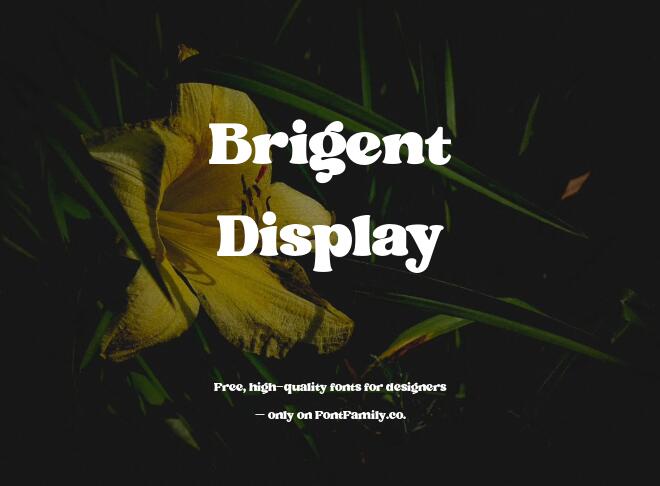 Brigent Display Font