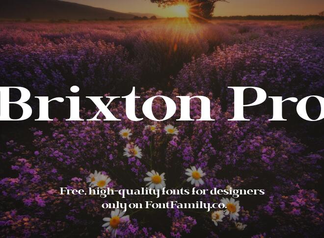 Brixton Pro Font