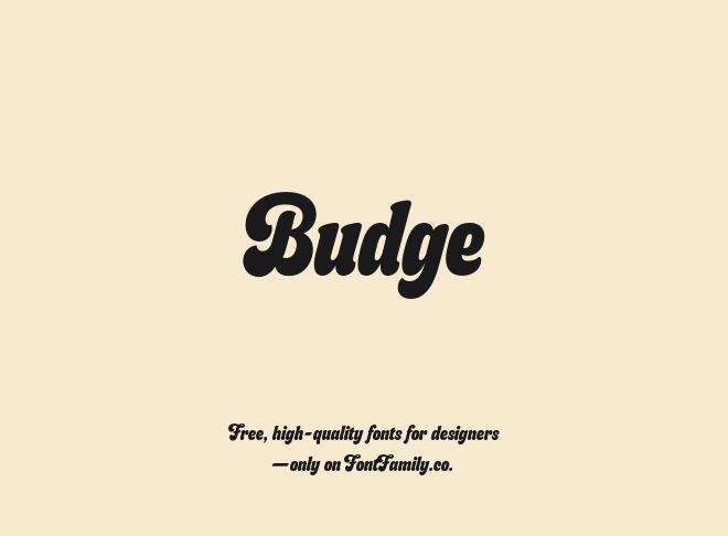 Budge Font