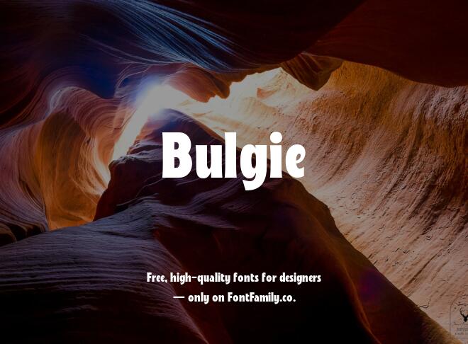 Bulgie Font