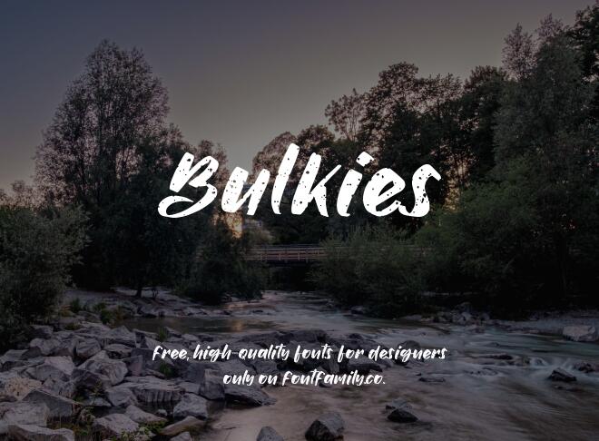 Bulkies Font