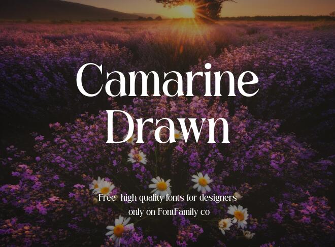 Camarine Drawn Font