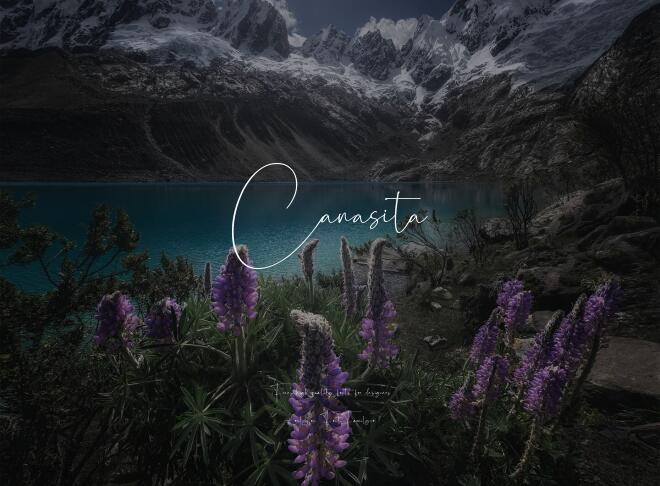 Canasita Font