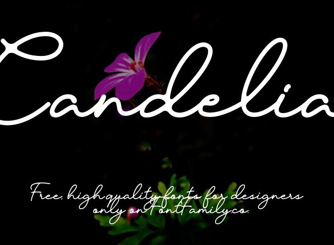 Candelia Font