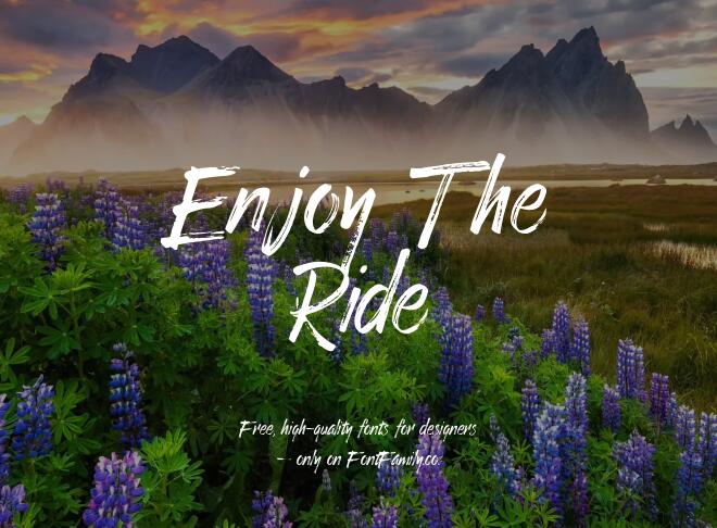 Enjoy The Ride Font