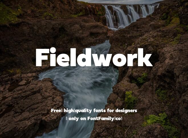 Fieldwork Font