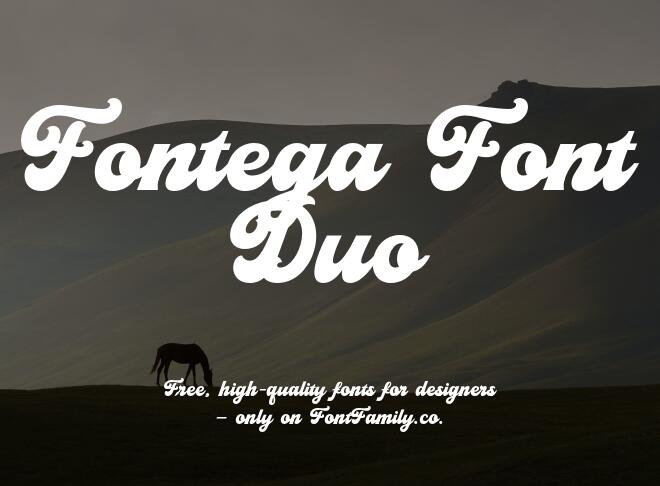 Fontega Font Duo