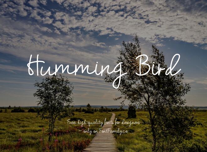 Humming Bird Font