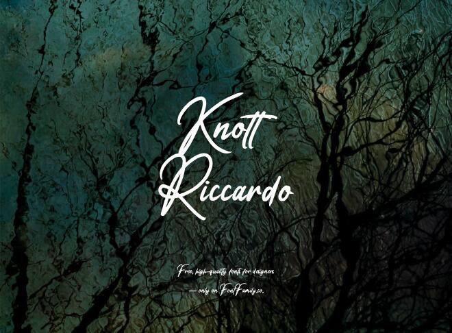 Knott Riccardo Font