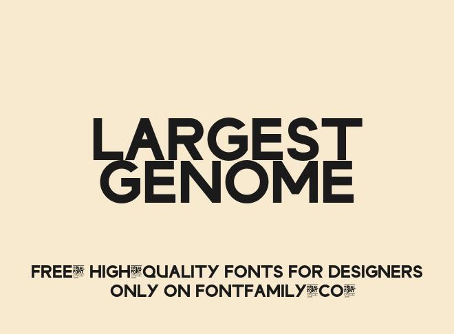 Largest Genome Font