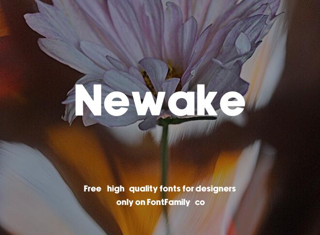 Newake Font