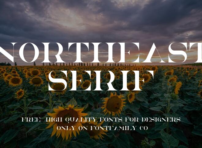 Northeast Serif Font