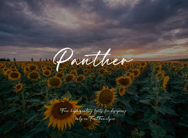 Panther Font