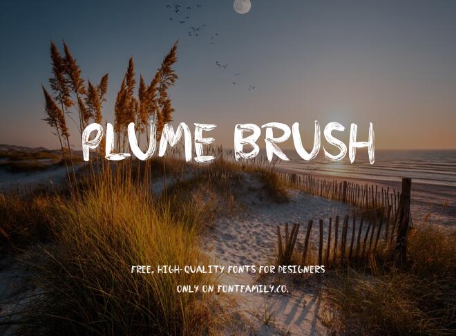 Plume Brush Font
