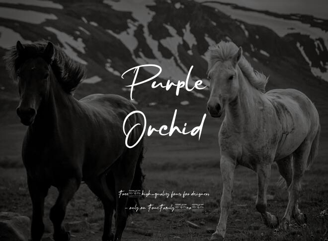 Purple Orchid Font
