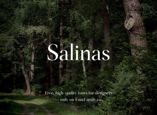 Salinas Font