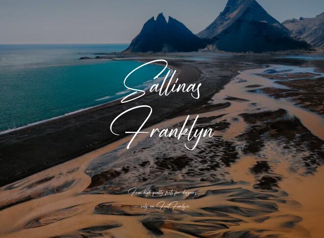 Sallinas Franklyn Font