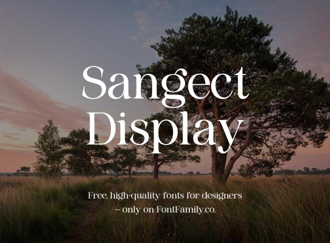 Sangect Display Font
