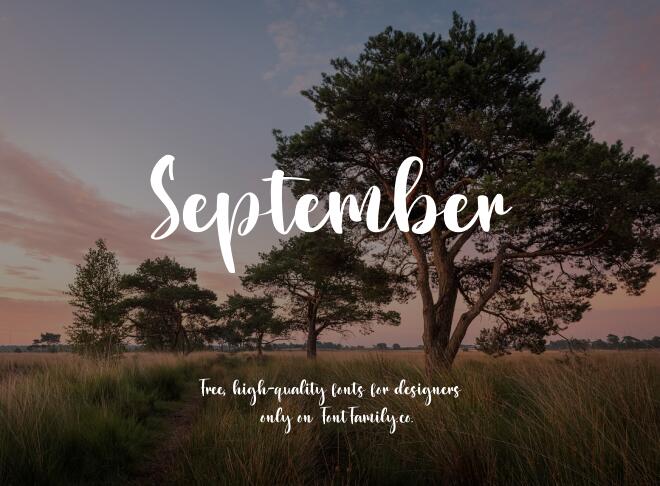 September Font