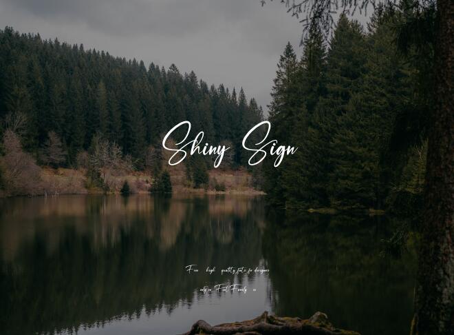 Shiny Sign Font
