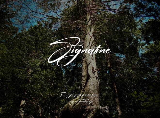 Signatine Font
