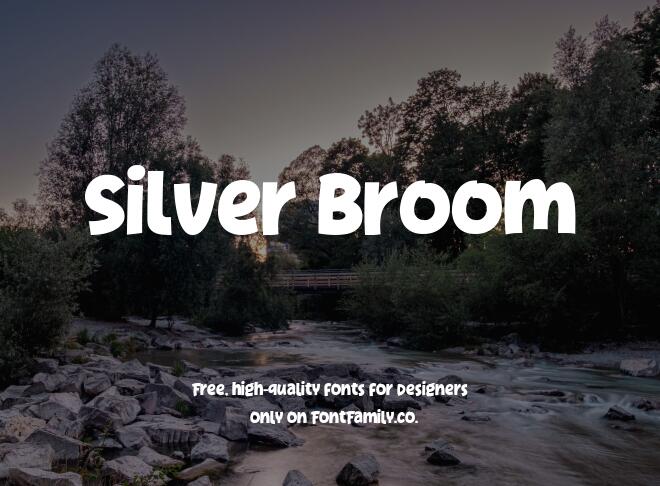 Silver Broom Font