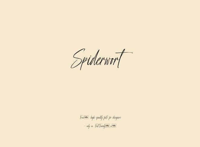 Spiderwort Font