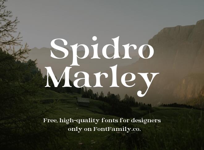 Spidro Marley Font