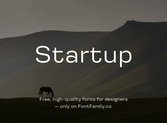 Startup Font