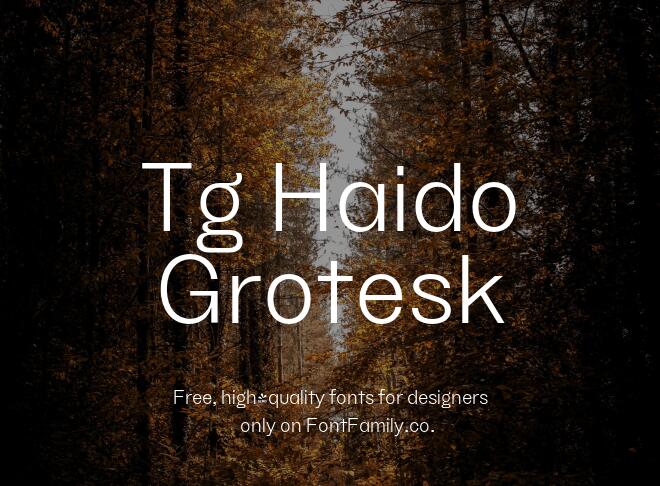 Tg Haido Grotesk Font