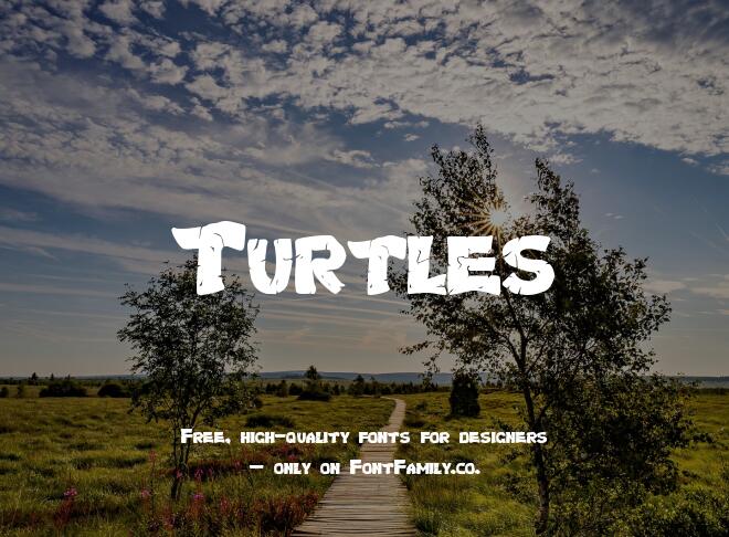 Turtles Font