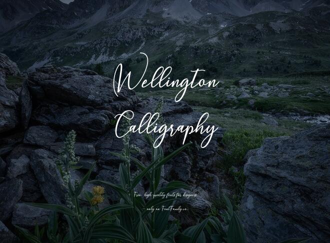 Wellington Calligraphy Font
