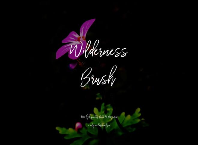 Wilderness Brush Font