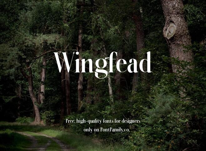 Wingfead Font